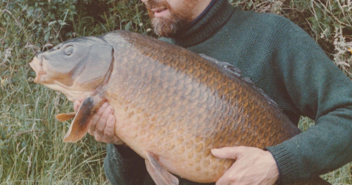 Len Arbery - Here, in the shape of this Mitchell 301 reel, is a little bit  of carp fishing history: I think it is fairly well known that the late,  great angler