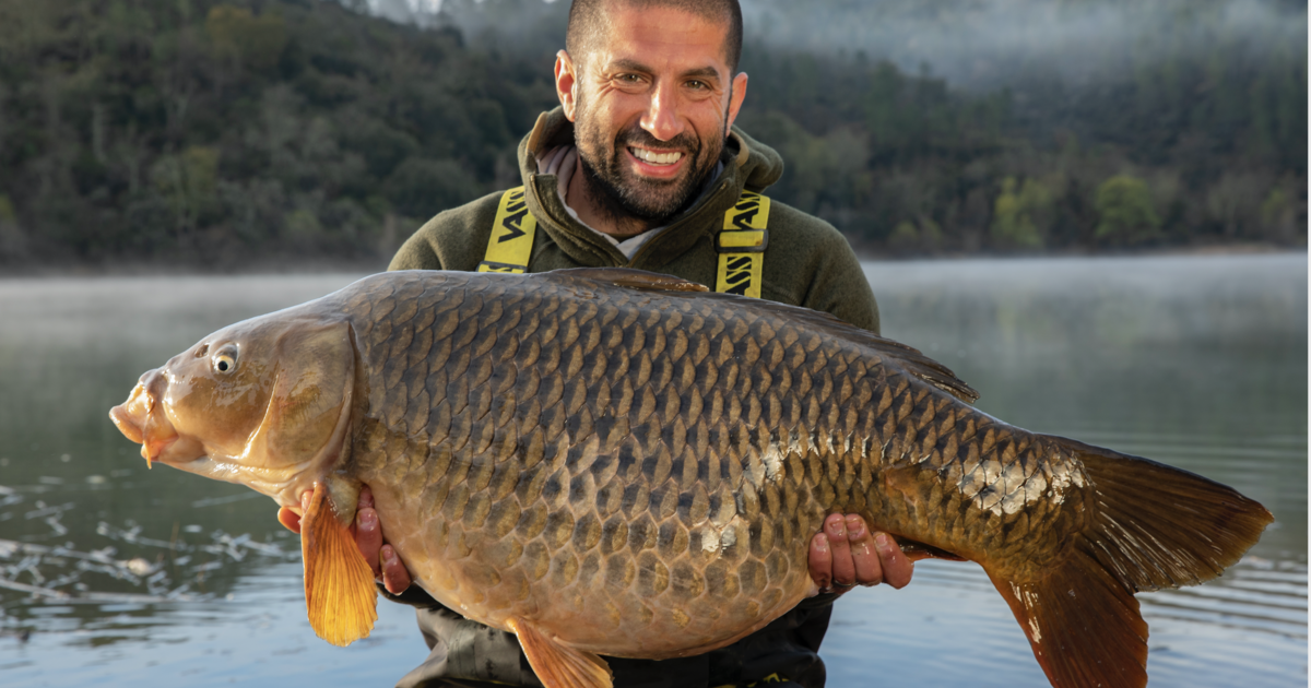 Valerii carp красногорск. Карп. Карп чешуйчатый. Карп Fishing.