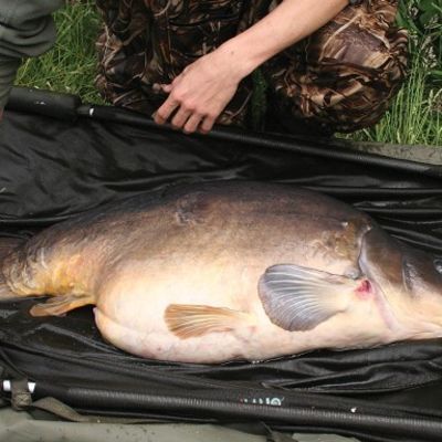 Page 176, Carp Fishing News, Quizzes & Reviews, CARPology