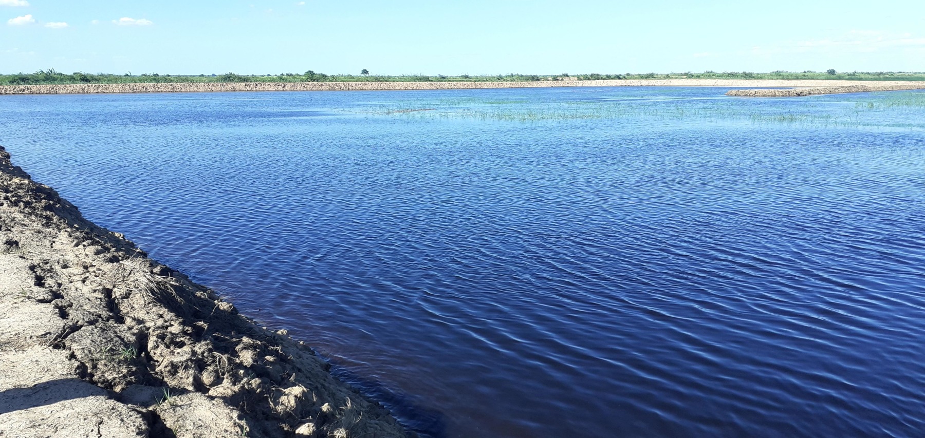 Carp dam with islands and some deep trenches