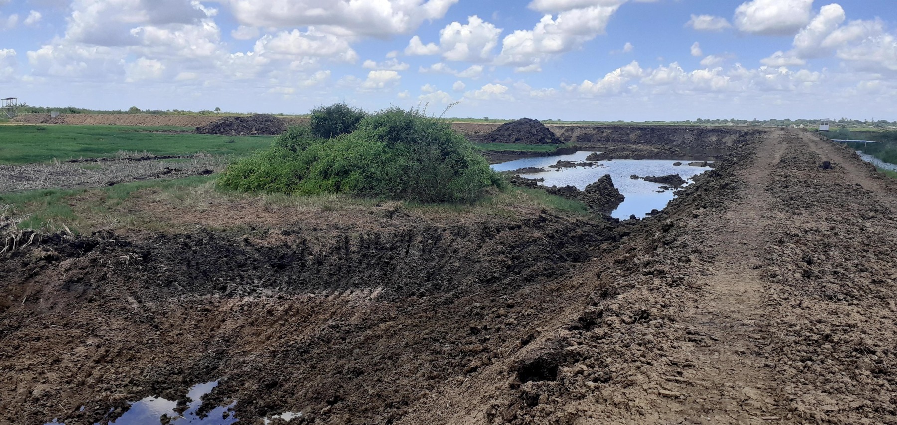 First dam at 12 acres