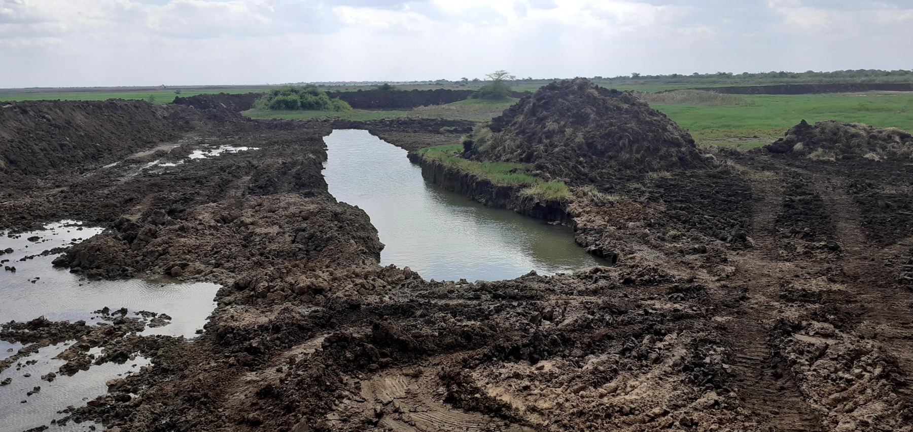 Carp dam with islands and some deep trenches