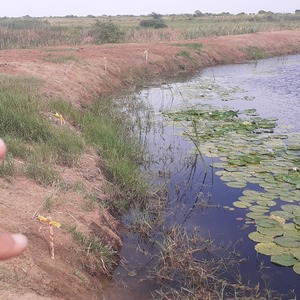 Marking where to plant