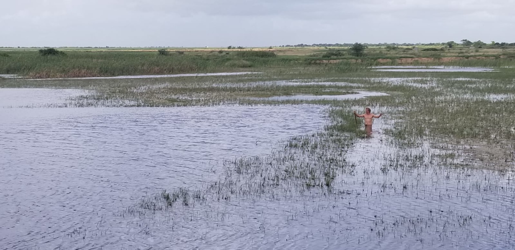 In the inverted C clearing 15m behind me there was a huge swirl... a 2.7m croc!