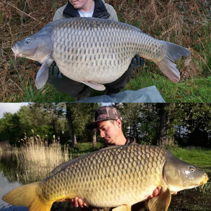 Dream Carp Holidays La Loubiere - Win a weeks trip for two anglers