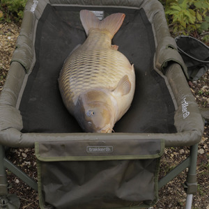 Trakker Sanctuary Carp Cradle