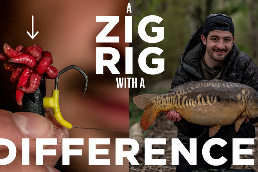 This carp fishing Zig Rig out-caught everyone else's!