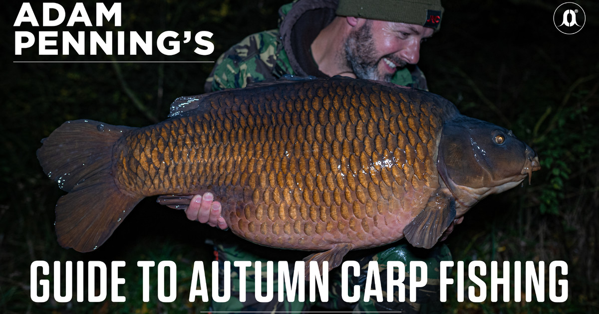 THE AUTUMN APPROACH  Autumn Carp Fishing Tips with Greg Ellis