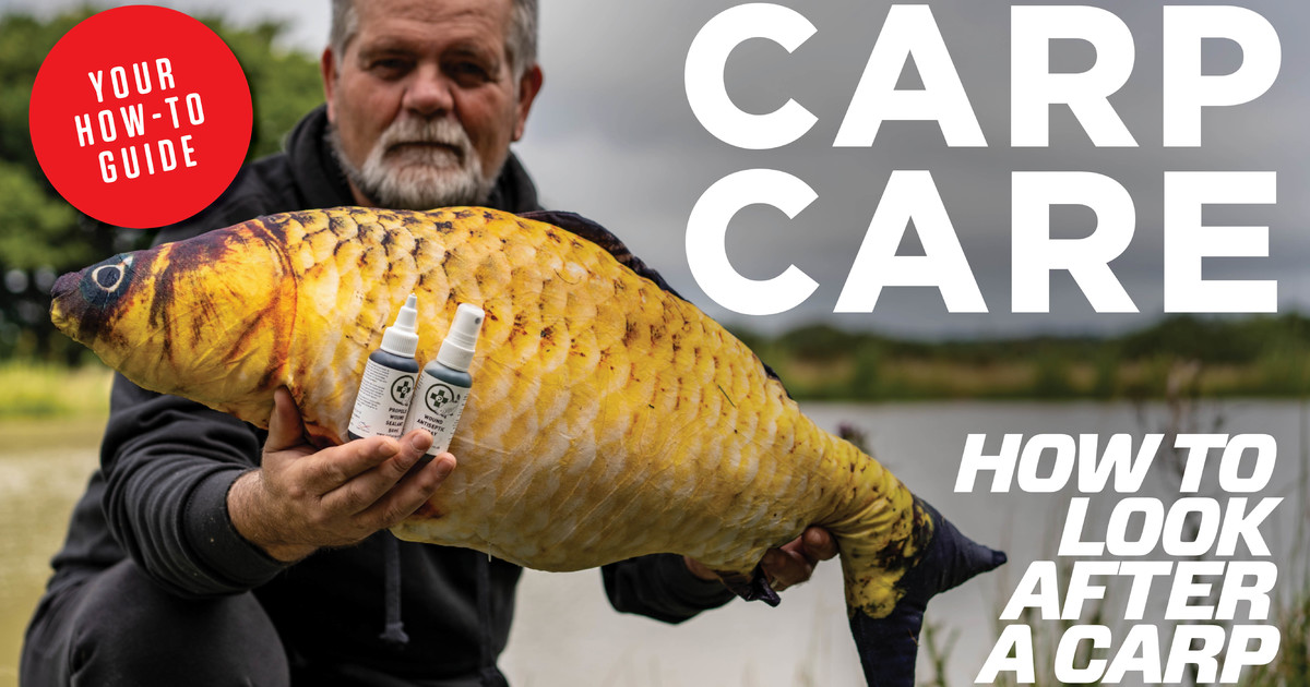 Carp 2025 fish care